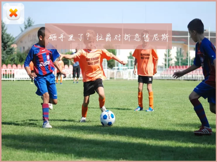 砸手里了？拉爵对折急售尼斯