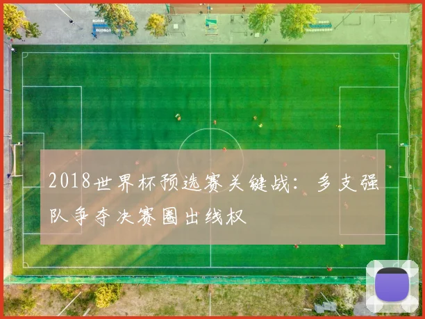 2018世界杯预选赛关键战:多支强队争夺决赛圈出线权