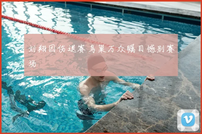 刘翔因伤退赛鸟巢万众瞩目憾别赛场