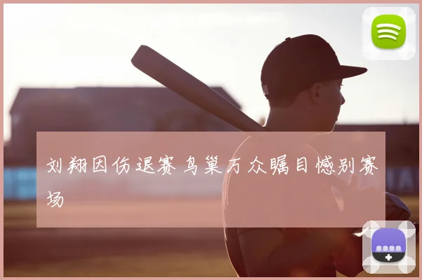 刘翔因伤退赛鸟巢万众瞩目憾别赛场