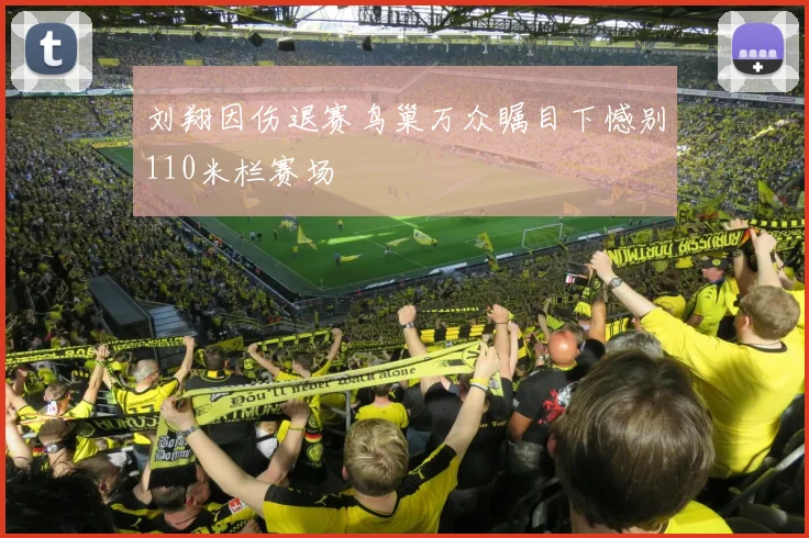 刘翔因伤退赛鸟巢万众瞩目下憾别110米栏赛场